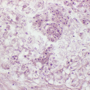 �沮�ؚ�ΰ����������~����һ��