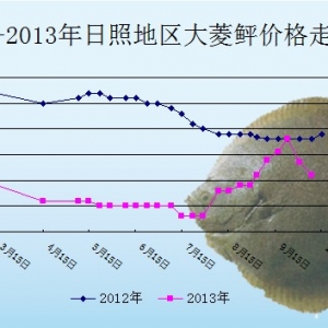 2013��10��8��ɽ�|���յ؅^(q��)�����҃r(ji��)������