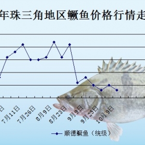 2013��10��9�������ǵ؅^�Z�~�r������