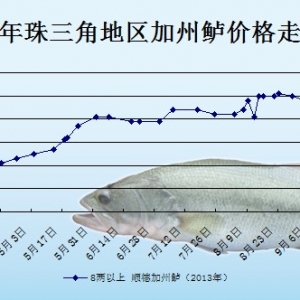 2013��10��9��ȫ�����؅^�����|���^�r