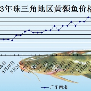 2013��10��9��ȫ���؅^�S��~���^�r��