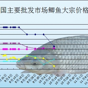 2013��10��8��ȫ����Ҫ���l�Ј��a�~�r������