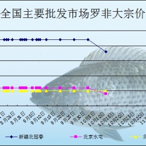 2013��10��9��ȫ����Ҫ���l�Ј��_���~�r������