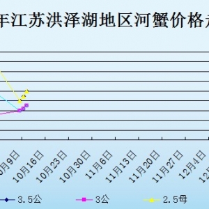 2013��10��10�ս��K��ɺ���з�r(ji��)������