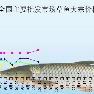 2013��10��10��ȫ����Ҫ���l�Ј����~�r������