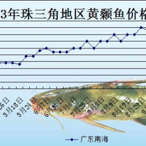 2013��10��11��ȫ���؅^�S��~���^�r��