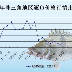 2013��10��11�������ǵ؅^�Z�~�r������