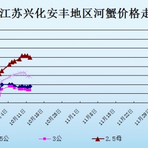 2013��10��12�ս��K�d�����S��з�r������