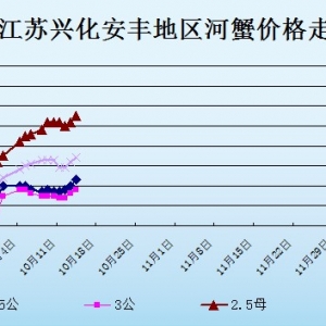 2013��10��14�ս��K�d�����S��з�r������