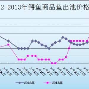 2013��10��14��ɽ�|ұԭ�؅^�\�~�r������