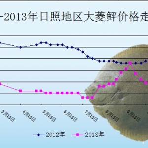 2013��10��14��ɽ�|���յ؅^(q��)�����҃r(ji��)������