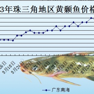 2013��10��14��ȫ���؅^�S��~���^�r��