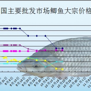 2013��10��15��ȫ����Ҫ���l�Ј��a�~�r������