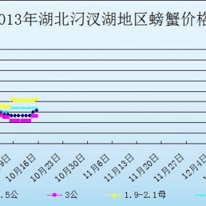 2013��10��15�պ����������з�r������