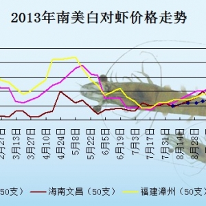 2013��10��16�ո��؅^���r���^�r������