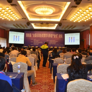 ���V�أ�����ʯ���~(y��)�a(ch��n)�I(y��)��ϵ�y(t��ng)����