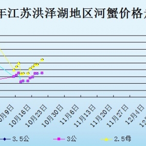 2013��10��21�ս��K��ɺ���з�r������