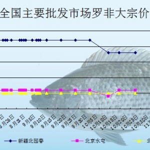 2013��10��22��ȫ����Ҫ���l(f��)�Ј��_���~�r������