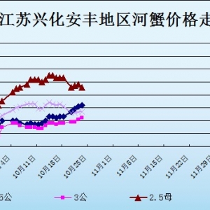 2013��10��23�ս��K�d�����S��з�r������