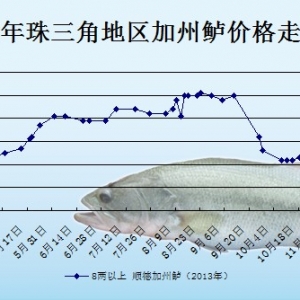 2013��10��23��ȫ�����؅^�����|���^�r