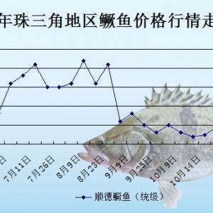 2013��10��23�������ǵ؅^�Z�~�r������