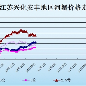 2013��10��24�ս��K�d�����S��з�r������