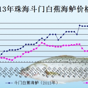 2013��10��24�������ǵ؅^�׽����|���^�r������