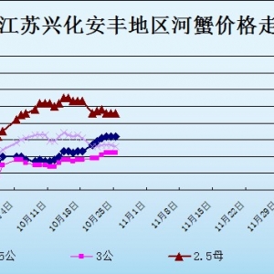 2013��10��25�ս��K�d�����S��з�r������