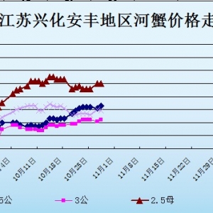 2013��10��28�ս��K�d�����S��з�r������