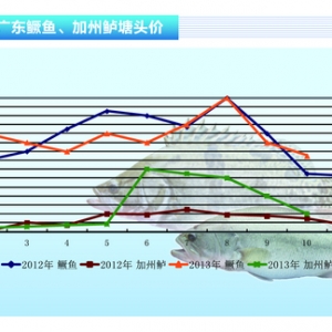 �Z�~���r���^�m�ߵ� ����ӯ�� ����ˮ�aǰ�ء�2013��11�¿��Ј�څ��