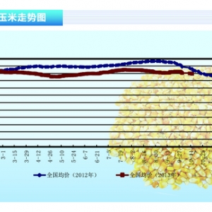 ���ף�����(y��ng)���� �¼Z���_���� ����ˮ�a(ch��n)ǰ�ء�2013��11�¿��Ј�څ��