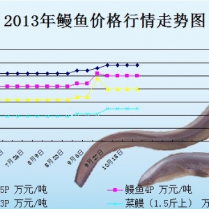 2013��10��29��혵µ؅^���~�r������