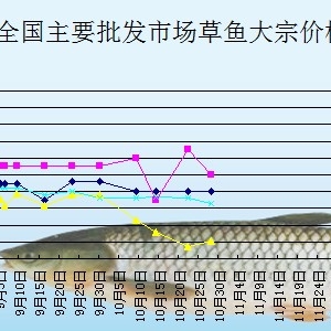 2013��10��29��ȫ����Ҫ���l�Ј����~�r������