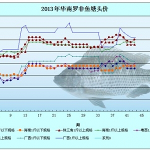 2013��10��27-30���_���~�r�������܈�