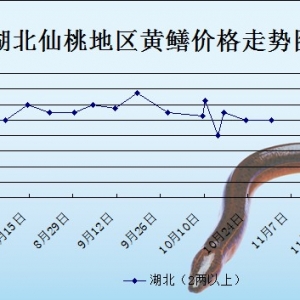 2013��10��31��ȫ���؅^�S�X���^�r