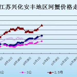 2013��11��1�ս��K�d�����S��з�r������