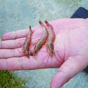 �~��������һ�����r�t�w�����\��