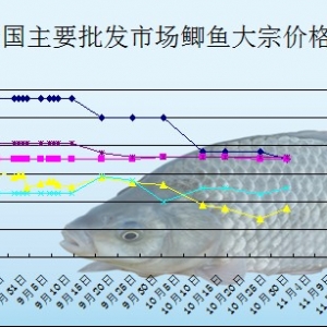 2013��11��4��ȫ����Ҫ���l�Ј��a�~�r������