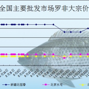 2013��11��4���_���~���l(f��)�Ј��r������