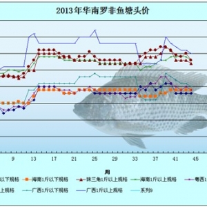 2013��11��4-7���_���~�r�������܈�