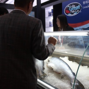 ����������aƷ�����Ї����H�O�I���[��