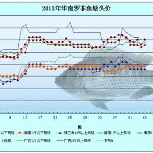 2013��11��8-14���_���~�r�������܈�