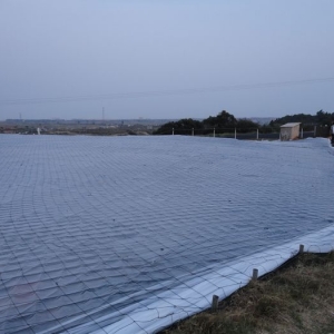 �Y������ �����r�Bֳ����