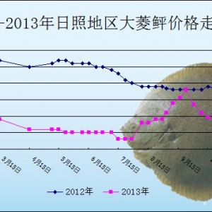 2013��11��27��ɽ�|���յ؅^(q��)�����҃r������