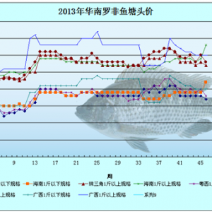 2013��11��25-29���_���~�r�������܈�