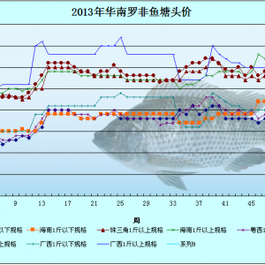 2013��12��2-6���_���~�r�������܈�