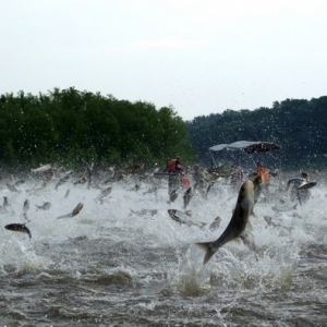 ������ӝO�I�����Ї��NҰ�����Ĵ���~��