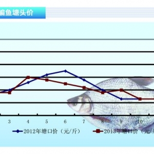 ���~�����ڃr���λ�ǻ����ɽ����^�͡���ˮ�aǰ�ء�2013��12�¿��Ј�څ��