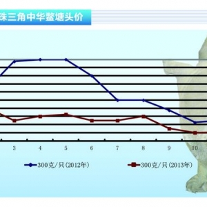 ���~��11���M�����c�� ����ˮ�a(ch��n)ǰ�ء�2013��12�¿��Ј�څ��