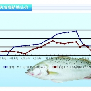 ���|���r����m�ߵ� ����ˮ�aǰ�ء�2013��12�¿��Ј�څ��